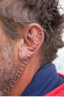 Ear texture of street references 397 0001